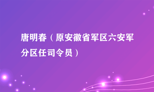 唐明春（原安徽省军区六安军分区任司令员）