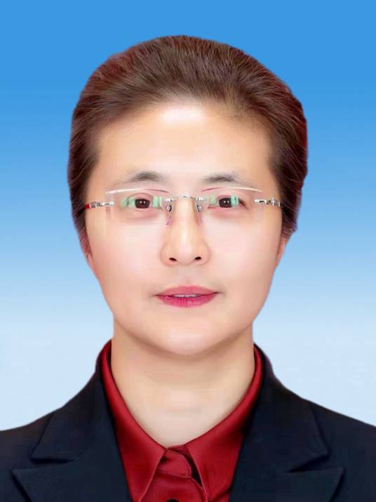 李玲（江苏省南通市人民政府副市长）