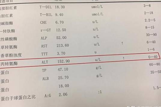 谷丙转氨酶高
