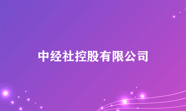 中经社控股有限公司