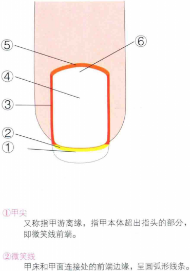 微笑线