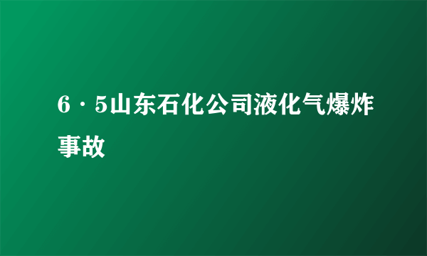 6·5山东石化公司液化气爆炸事故