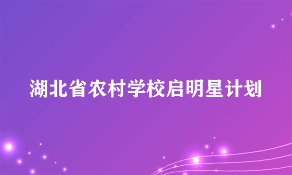 湖北省农村学校启明星计划