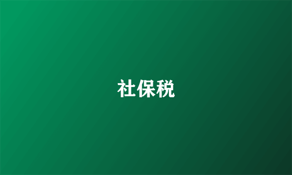 社保税