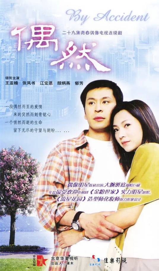 偶然（2004年王亚楠主演电视剧）