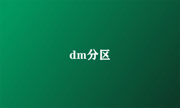 dm分区