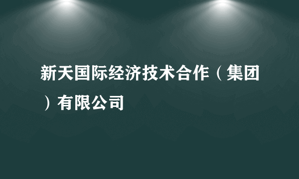 新天国际经济技术合作（集团）有限公司