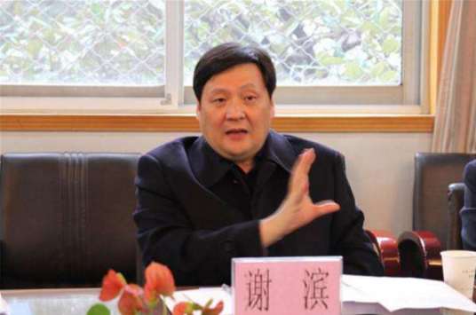 谢滨（中国注册税务师协会常务副会长）