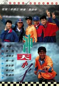 冲天小子（1992年蔡一杰主演的动作剧）