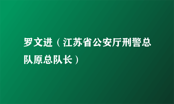 罗文进（江苏省公安厅刑警总队原总队长）