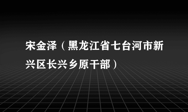 宋金泽（黑龙江省七台河市新兴区长兴乡原干部）