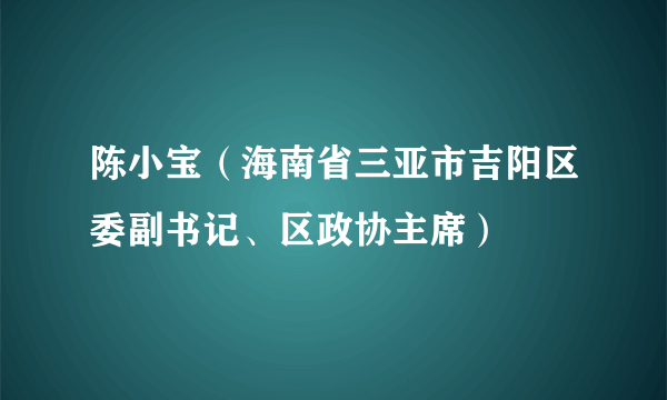 陈小宝（海南省三亚市吉阳区委副书记、区政协主席）