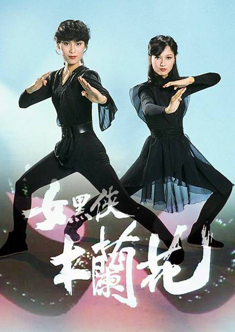 女黑侠木兰花（1981年王天龙、杜琪峰执导的电视剧）