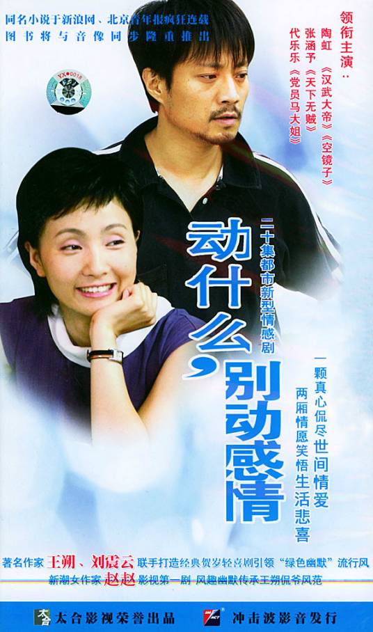 动什么，别动感情（2004年唐大年执导电视剧）