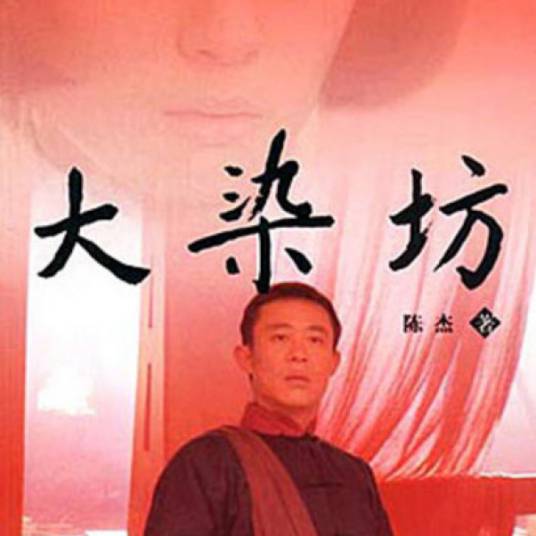 大染坊（2003年山东文艺出版社出版的图书）