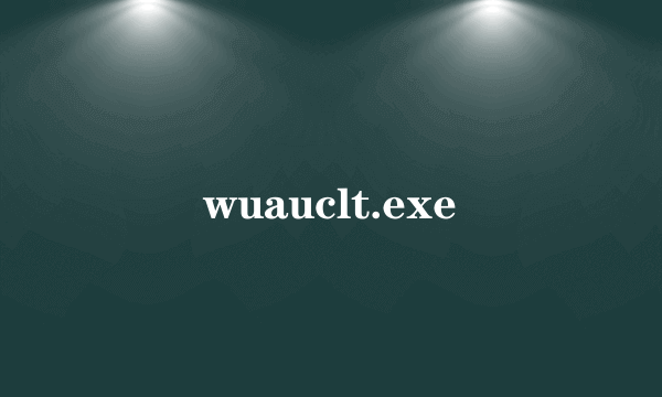 wuauclt.exe