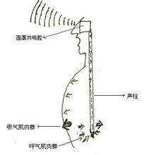 丹田唱法