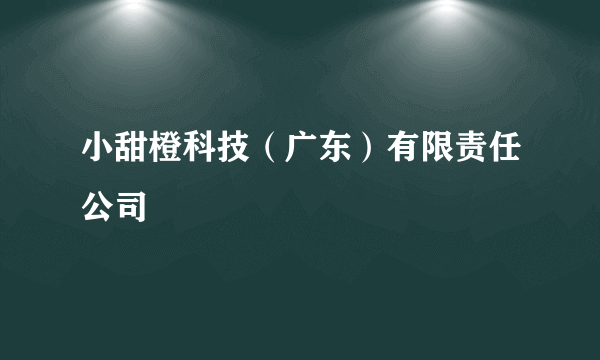 小甜橙科技（广东）有限责任公司