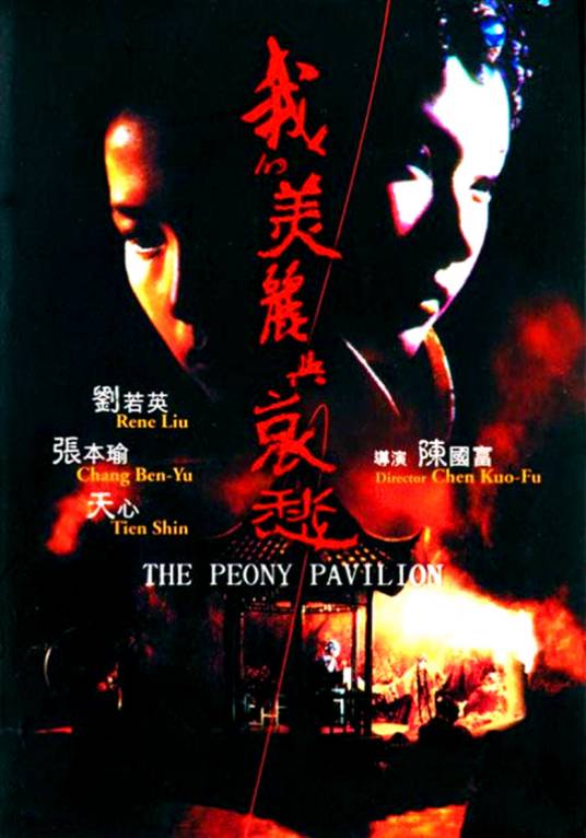 我的美丽与哀愁（1995年刘若英主演电影）