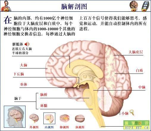 脑脊髓膜炎