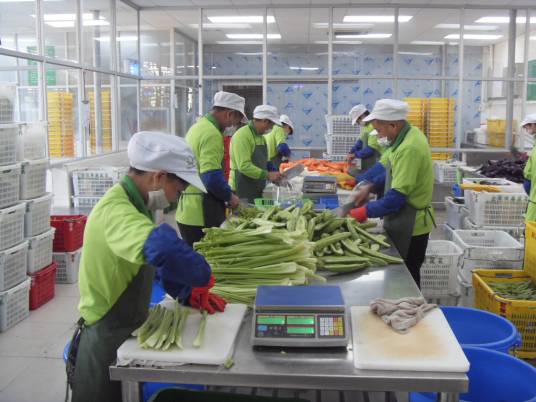 蔬菜加工（采用物理、化学和生物的方法制成食品以利保藏的加工过程）