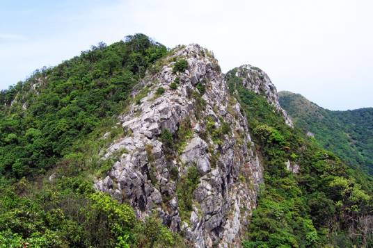 排牙山（深圳市龙岗区的景点）