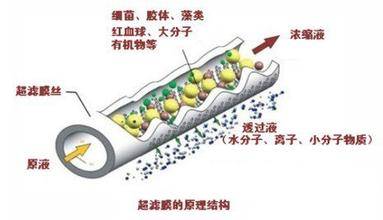 超滤装置