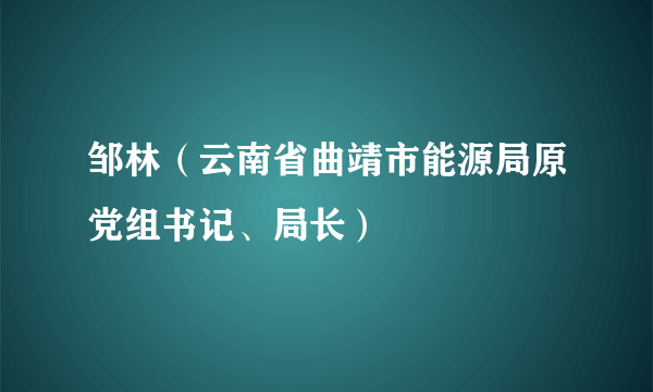 邹林（云南省曲靖市能源局原党组书记、局长）