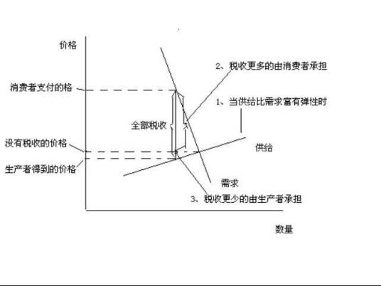 弧弹性