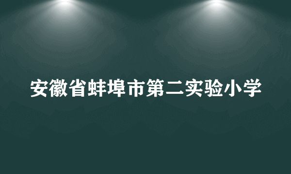 安徽省蚌埠市第二实验小学