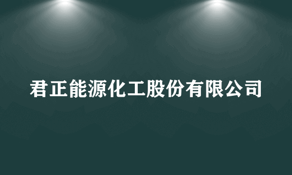 君正能源化工股份有限公司