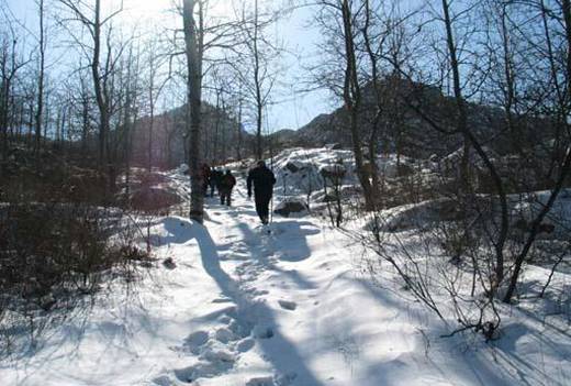 鹿泉西山森林公园