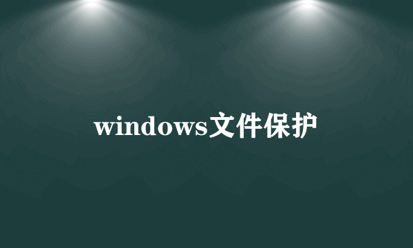 windows文件保护