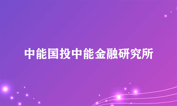 中能国投中能金融研究所