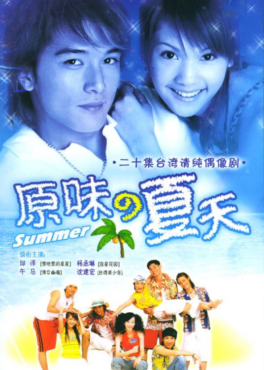 原味的夏天（2003年由邱泽主演电视剧）