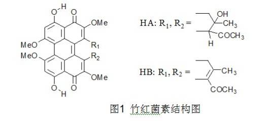 竹红菌素