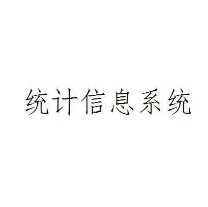 统计信息系统