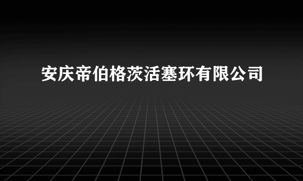 安庆帝伯格茨活塞环有限公司