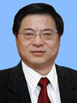 张德志（中国注册税务师协会副会长）