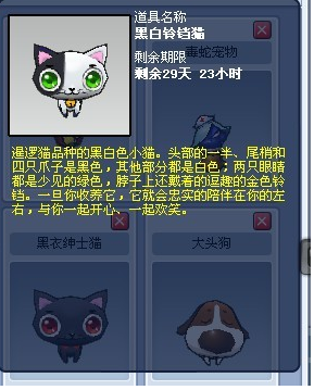 黑白铃铛猫