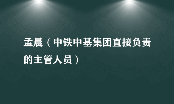 孟晨（中铁中基集团直接负责的主管人员）