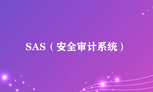 SAS（安全审计系统）