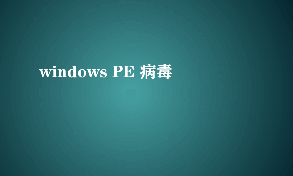 windows PE 病毒