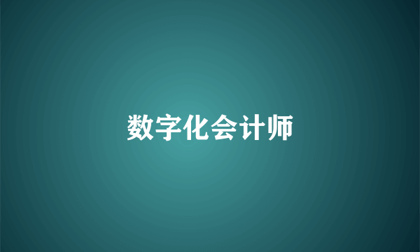 数字化会计师