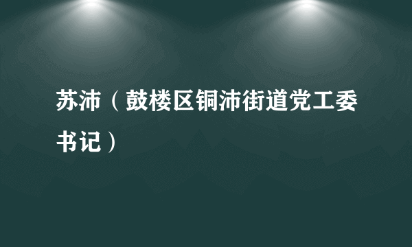 苏沛（鼓楼区铜沛街道党工委书记）