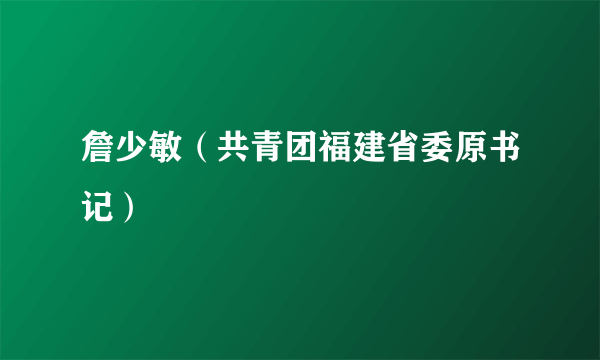 詹少敏（共青团福建省委原书记）