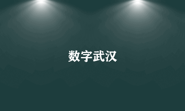 数字武汉