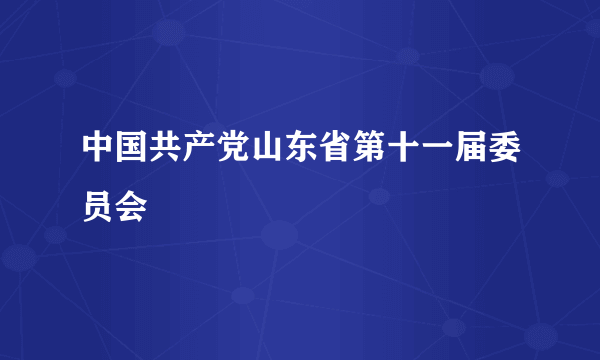 中国共产党山东省第十一届委员会