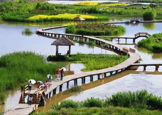 上海崇明西沙国家湿地公园