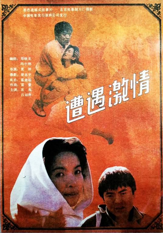 遭遇激情（1991年夏钢执导的电影）